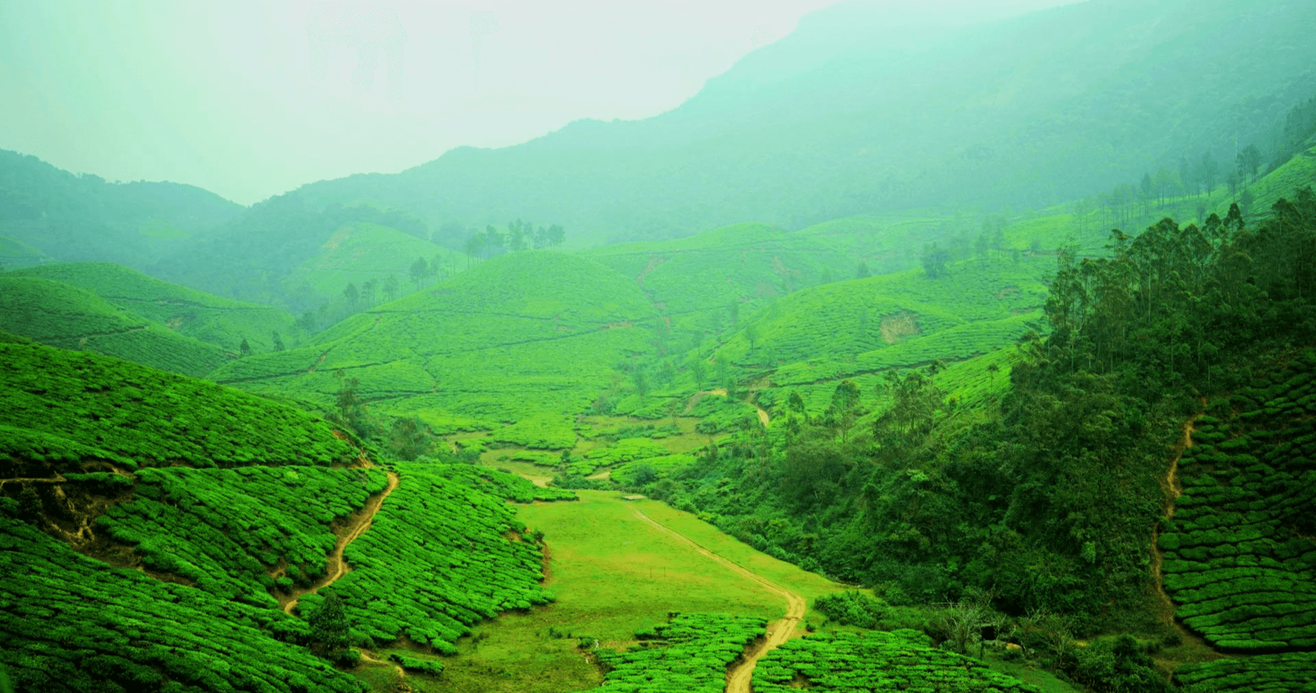 Munnar cover